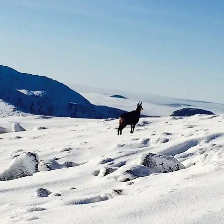 בית נופש Chatyliptov V Srdci Liptova ליפטובסקי טרנוביץ'