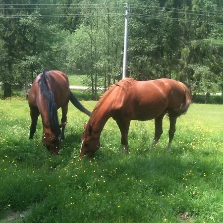 Chatyliptov V Srdci Liptova בית נופש ליפטובסקי טרנוביץ'