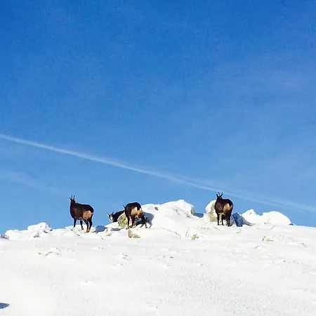Feriehus Chatyliptov V Srdci Liptova *